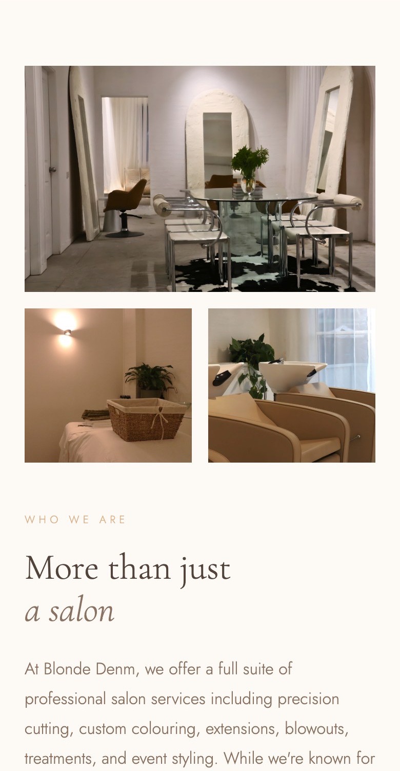 The BlondeDenm homepage on a phone: the introduction