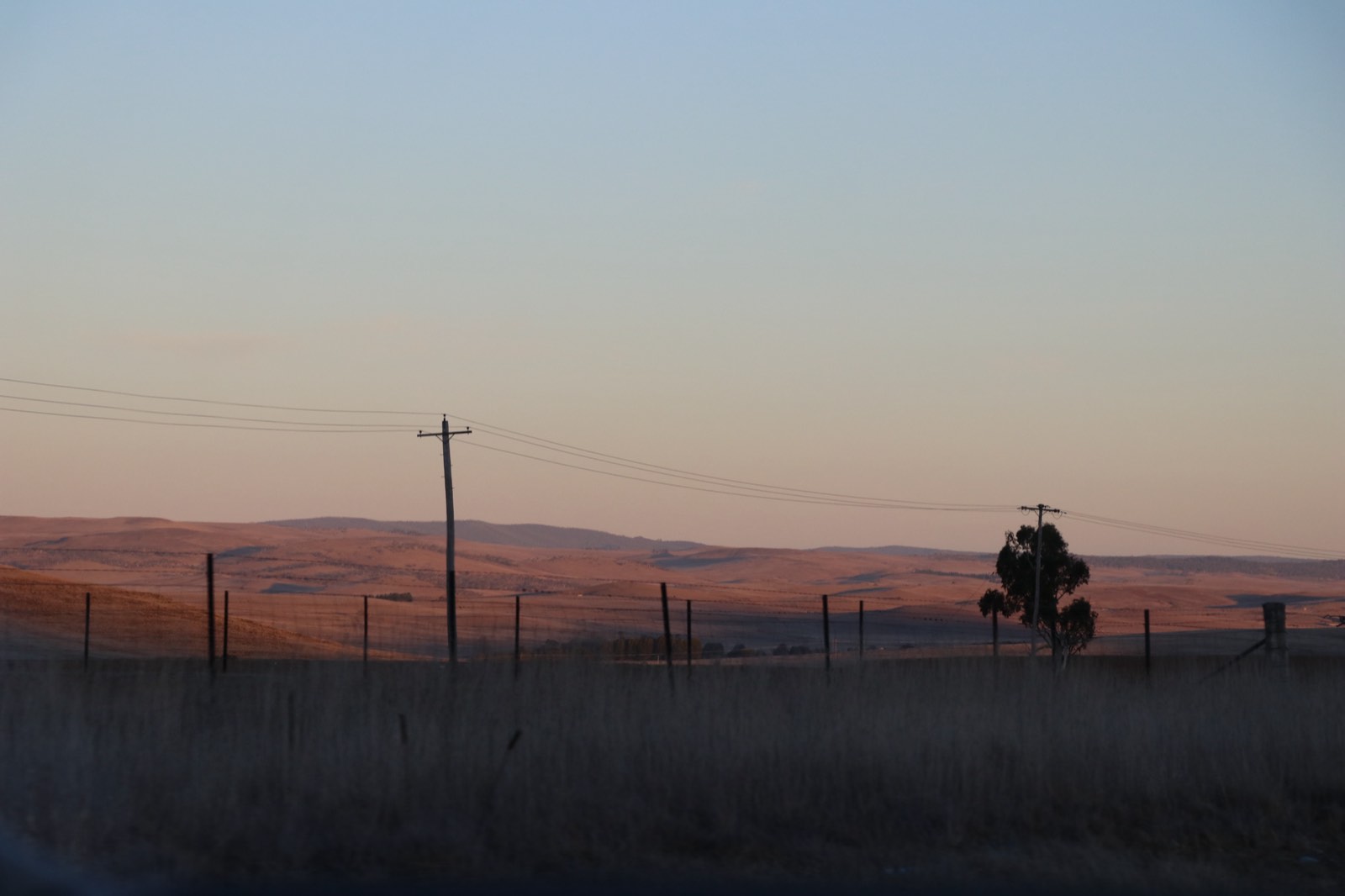 Farmland at dusk: power poles and wires crossing a pale evening sky, a lone gum tree, and low hills lit pink by the last light