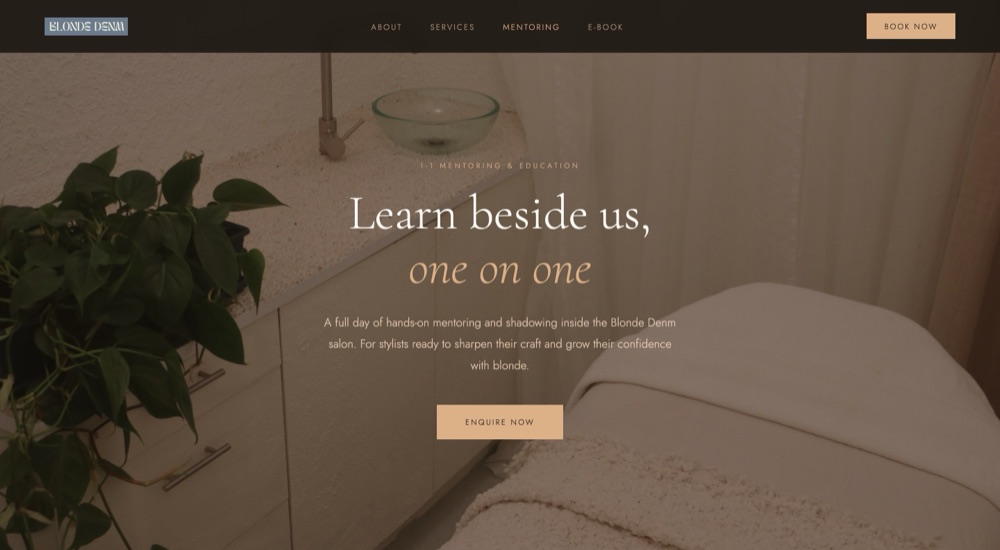 The mentoring page: ‘Learn beside us, one on one’