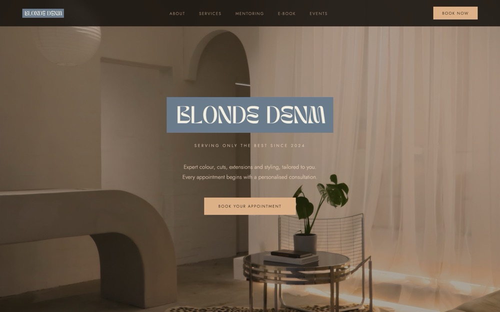 BlondeDenm homepage on desktop